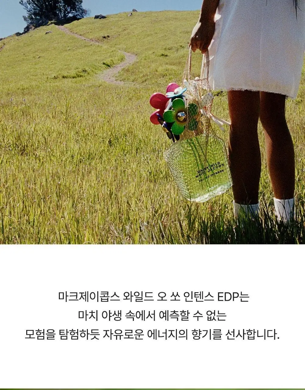 마크제이콥스 10ml 트리오 기획(데이지 EDT+와일드 EDP+와일드 인텐스 EDP) 상세페이지 25