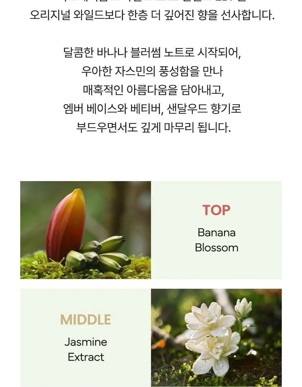 마크제이콥스 10ml 트리오 기획(데이지 EDT+와일드 EDP+와일드 인텐스 EDP) 상세페이지 27