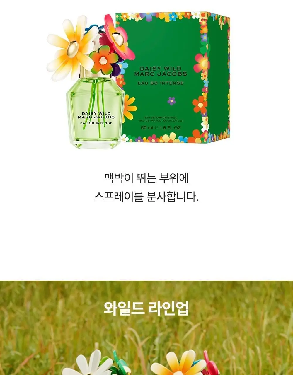 마크제이콥스 10ml 트리오 기획(데이지 EDT+와일드 EDP+와일드 인텐스 EDP) 상세페이지 30