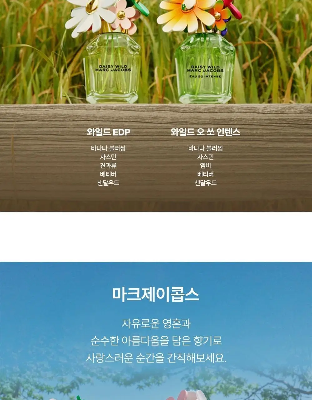 마크제이콥스 10ml 트리오 기획(데이지 EDT+와일드 EDP+와일드 인텐스 EDP) 상세페이지 31