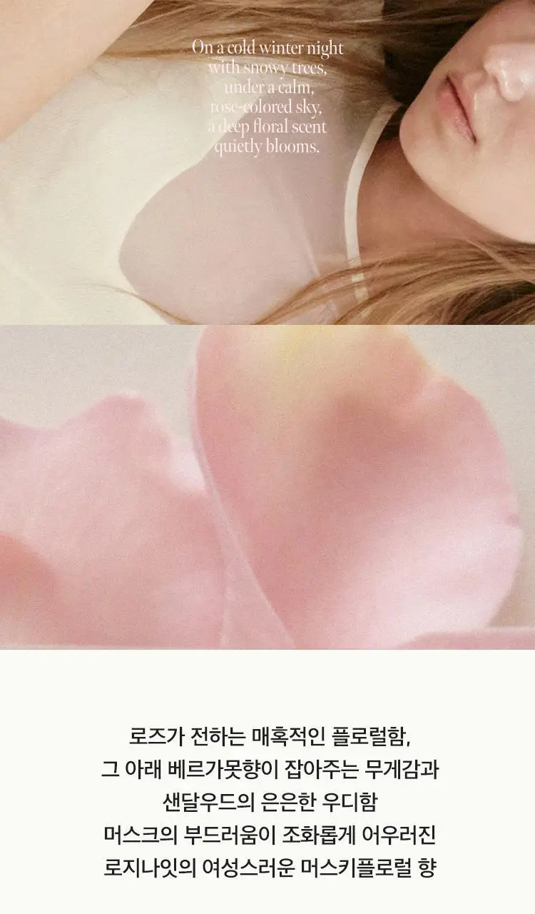 아닐로 로지나잇 오 드 퍼퓸 10ml/50ml 단독 기획 상세페이지 16