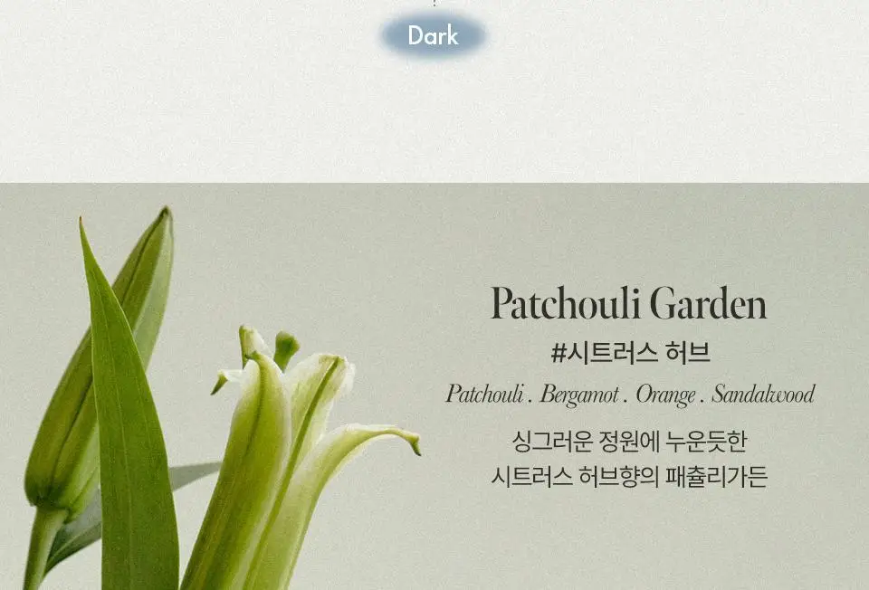 아닐로 패츌리가든 오 드 퍼퓸 10ml/50ml 단독 기획 상세페이지 5