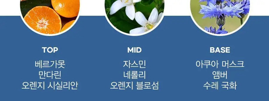 클린 리저브 블렌드 EDP 10ml 스프레이 2종 중 택1 상세페이지 6