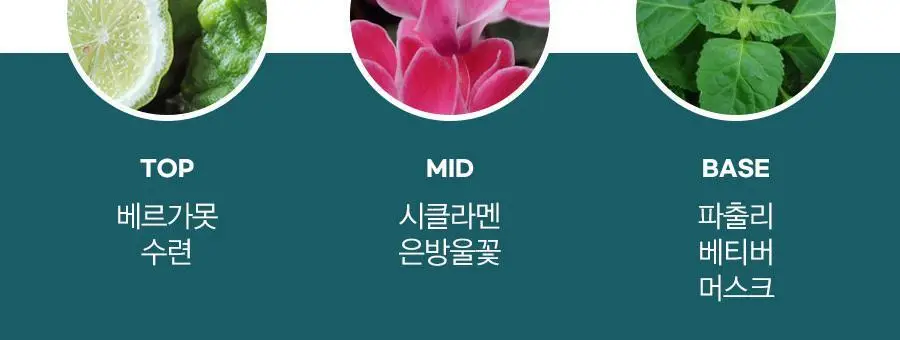 클린 리저브 블렌드 EDP 10ml 스프레이 2종 중 택1 상세페이지 9