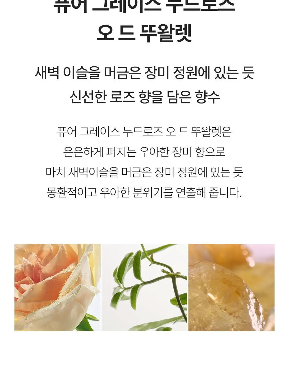 필로소피 EDT 15ml 5종 택1 상세페이지 30