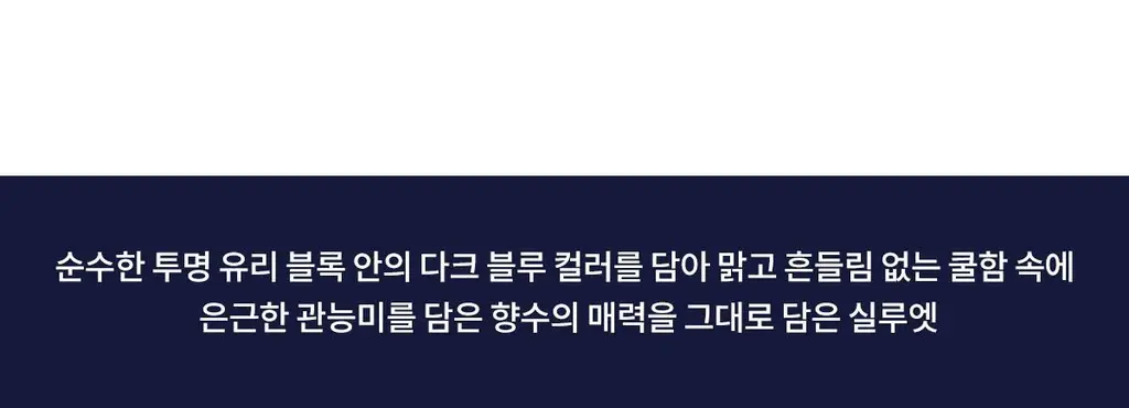 나르시소 로드리게즈 남성향수 포 힘 베스트 컬렉션 (블루누와르/베티버 머스크) 상세페이지 13