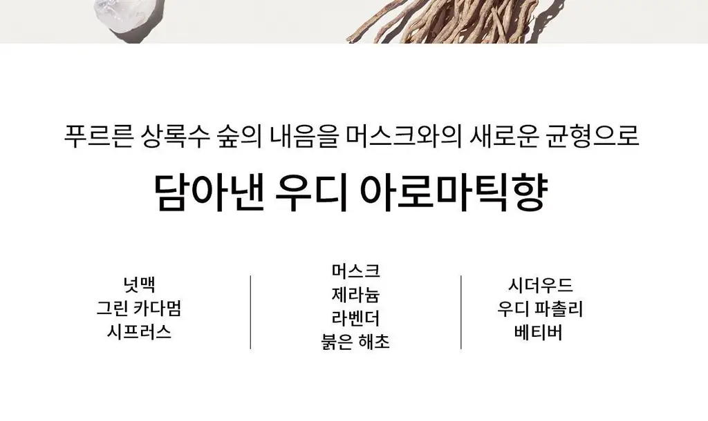 나르시소 로드리게즈 포 힘 베티버 머스크 EDT 50ml 상세페이지 9