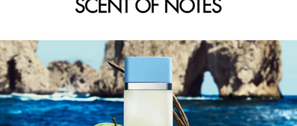 돌체앤가바나 라이트 블루 EDT 50ml+1.5ml 기획 세트 (온) 상세페이지 9