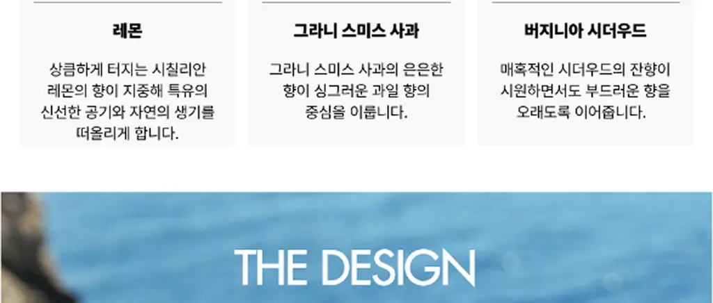 돌체앤가바나 라이트 블루 EDT 50ml+1.5ml 기획 세트 (온) 상세페이지 12