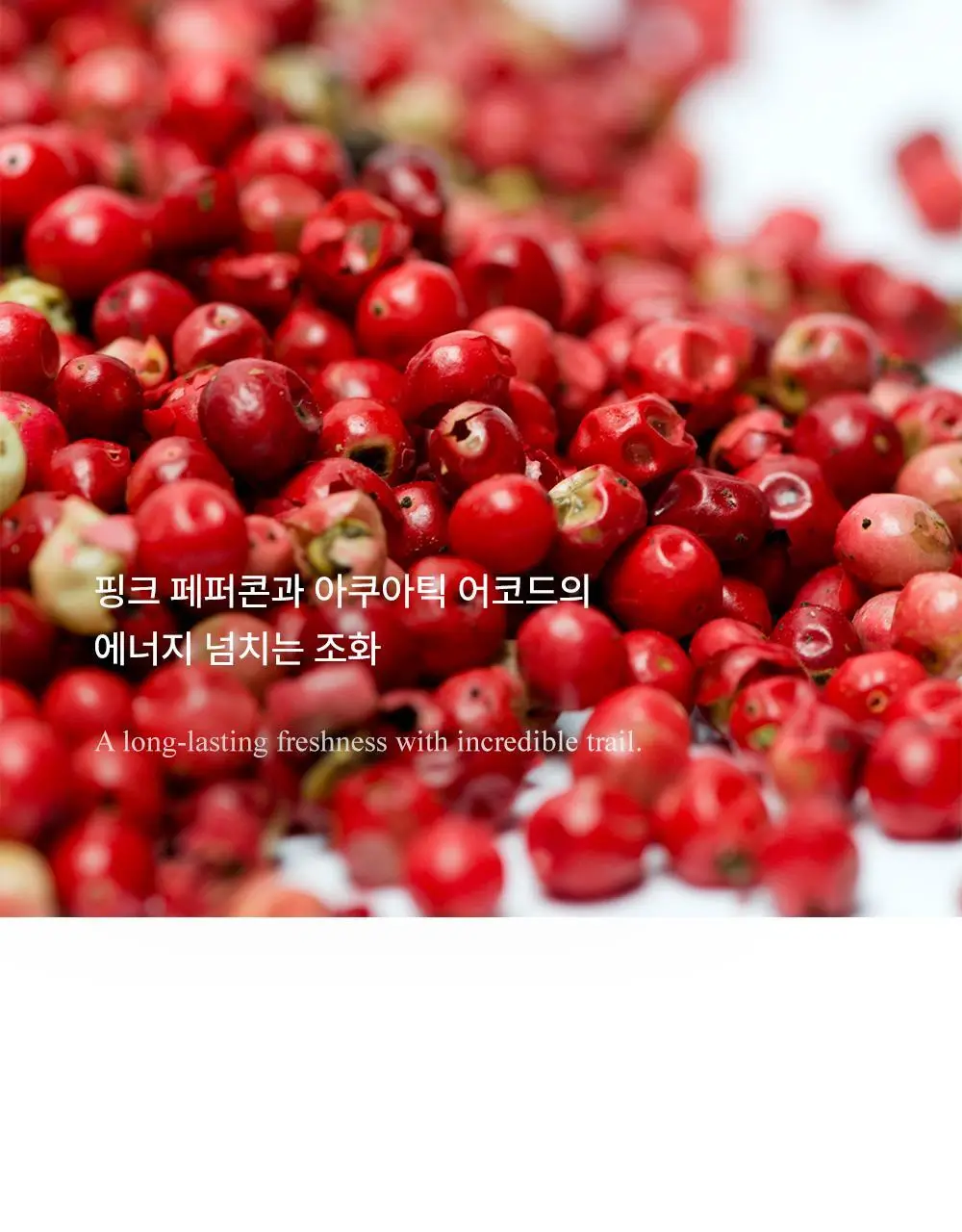 몽블랑 레전드 스피릿 EDT 30ml 상세페이지 3