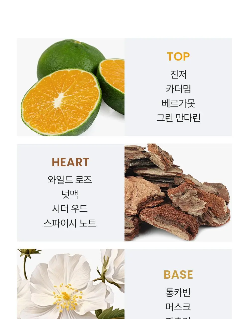 버버리 브릿 포 힘 EDT 30ml/50ml 상세페이지 5