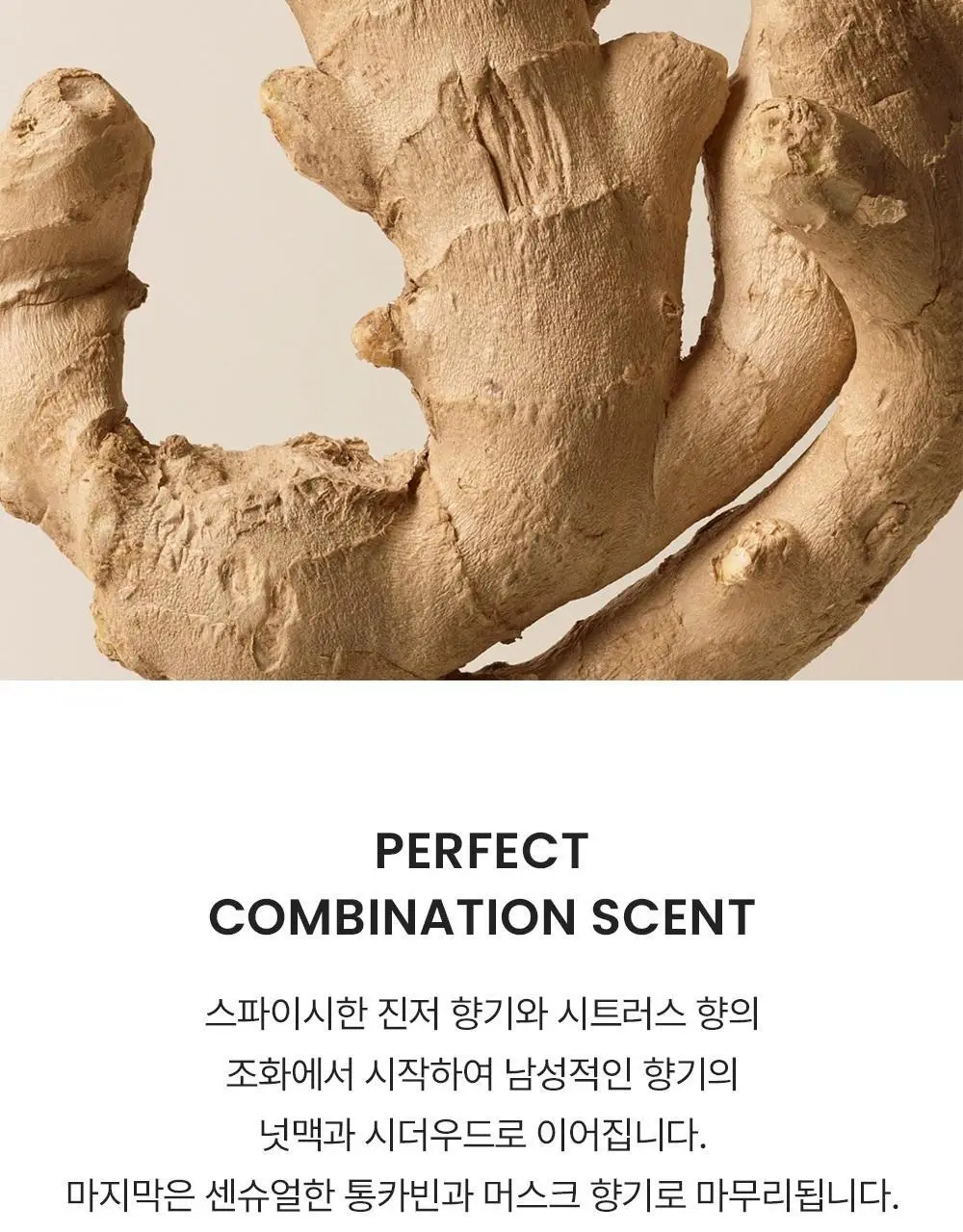 버버리 브릿 포 힘 EDT/런던 포 우먼 EDP 택1 상세페이지 4