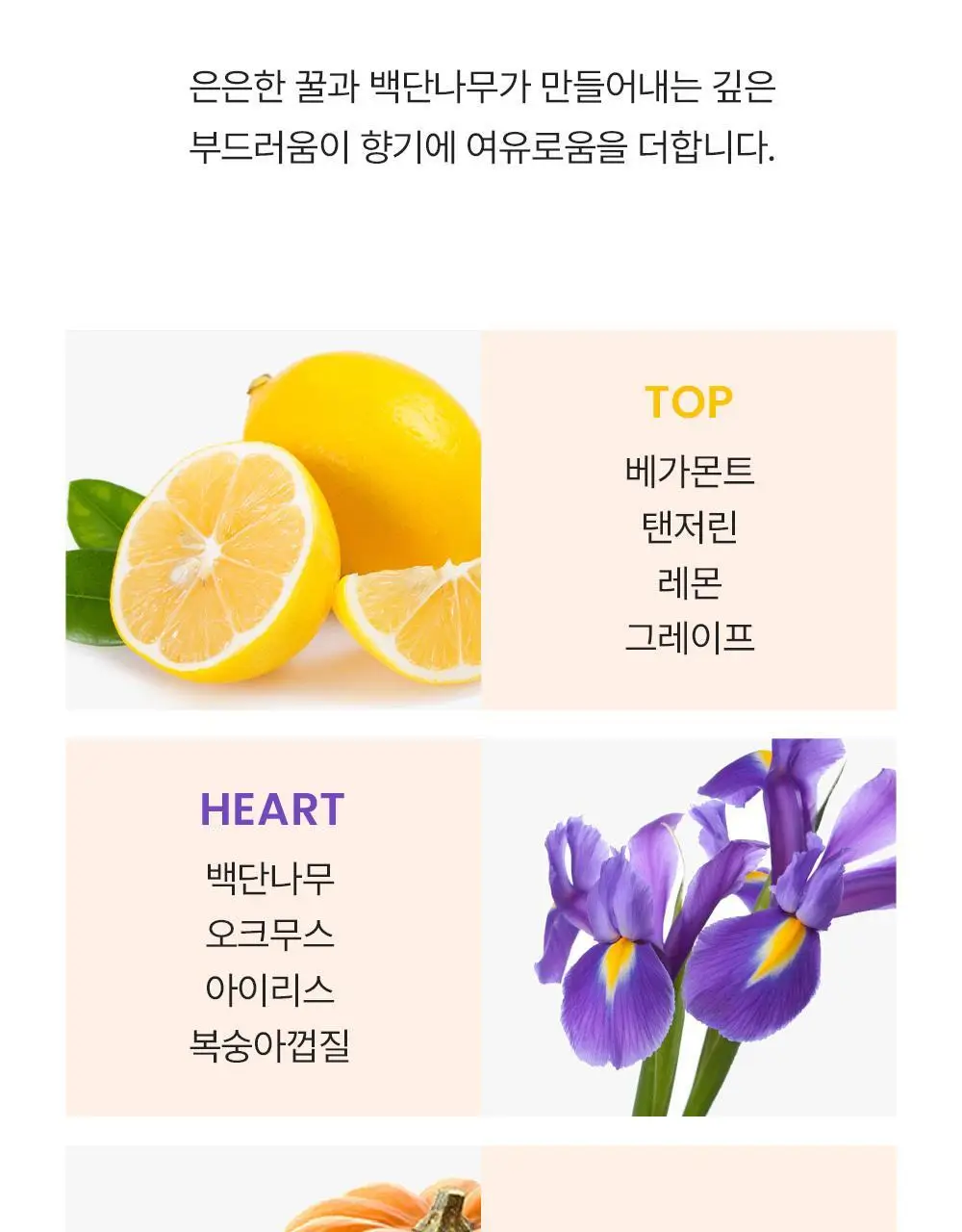 버버리 위크엔드 포맨 EDT 100ml 상세페이지 5