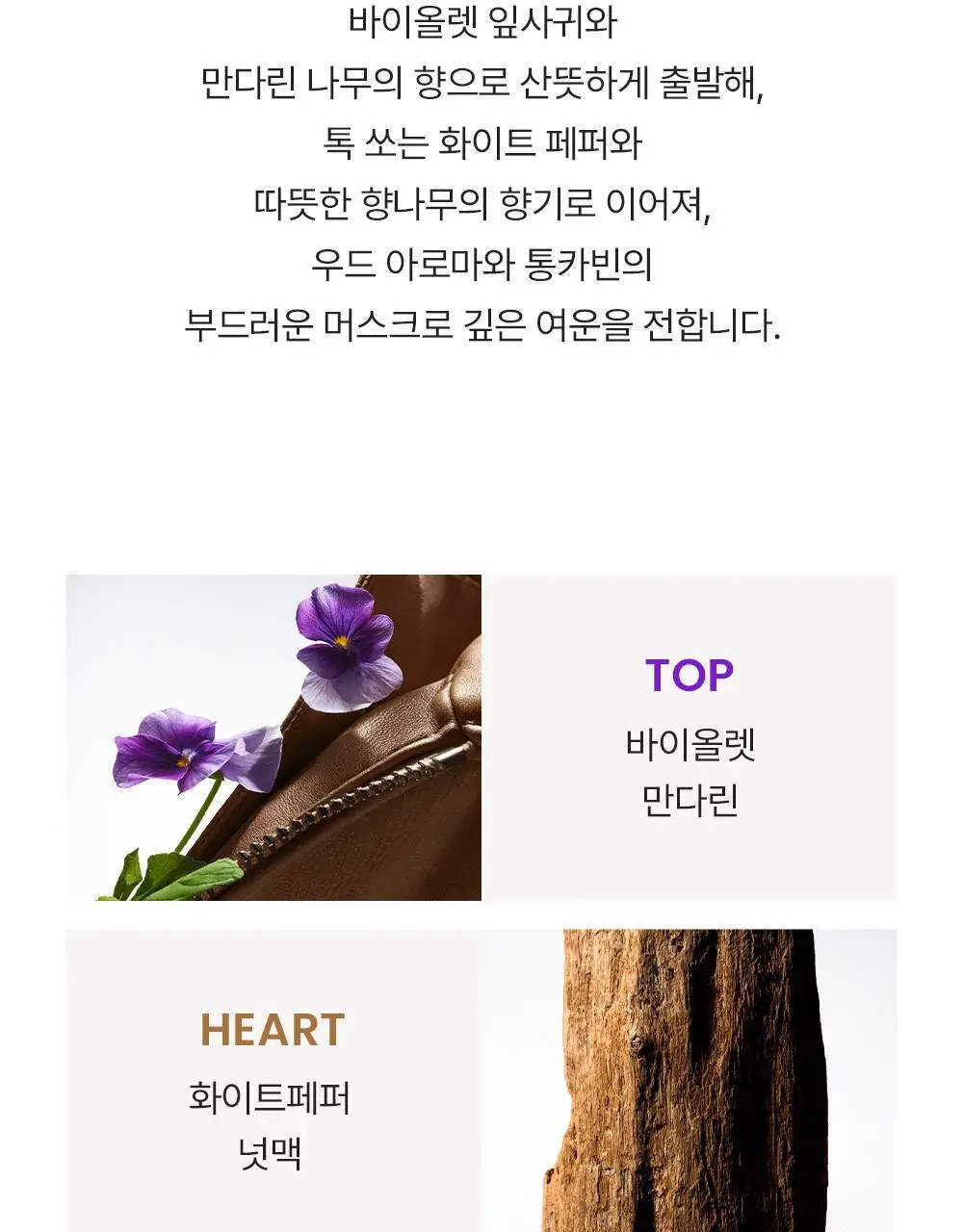버버리 터치 포 맨 EDT 50ml/100ml 상세페이지 5