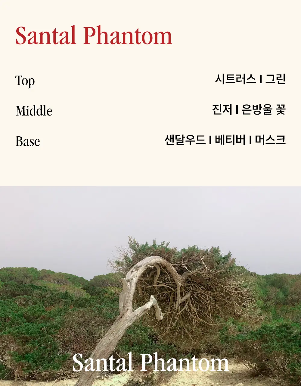 시머스 상탈 팬텀 EDP 50ml 상세페이지 11