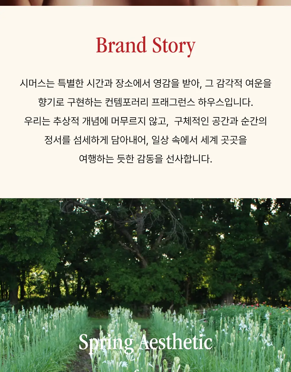 시머스 스프링 에스테틱 EDP 50ml 상세페이지 2