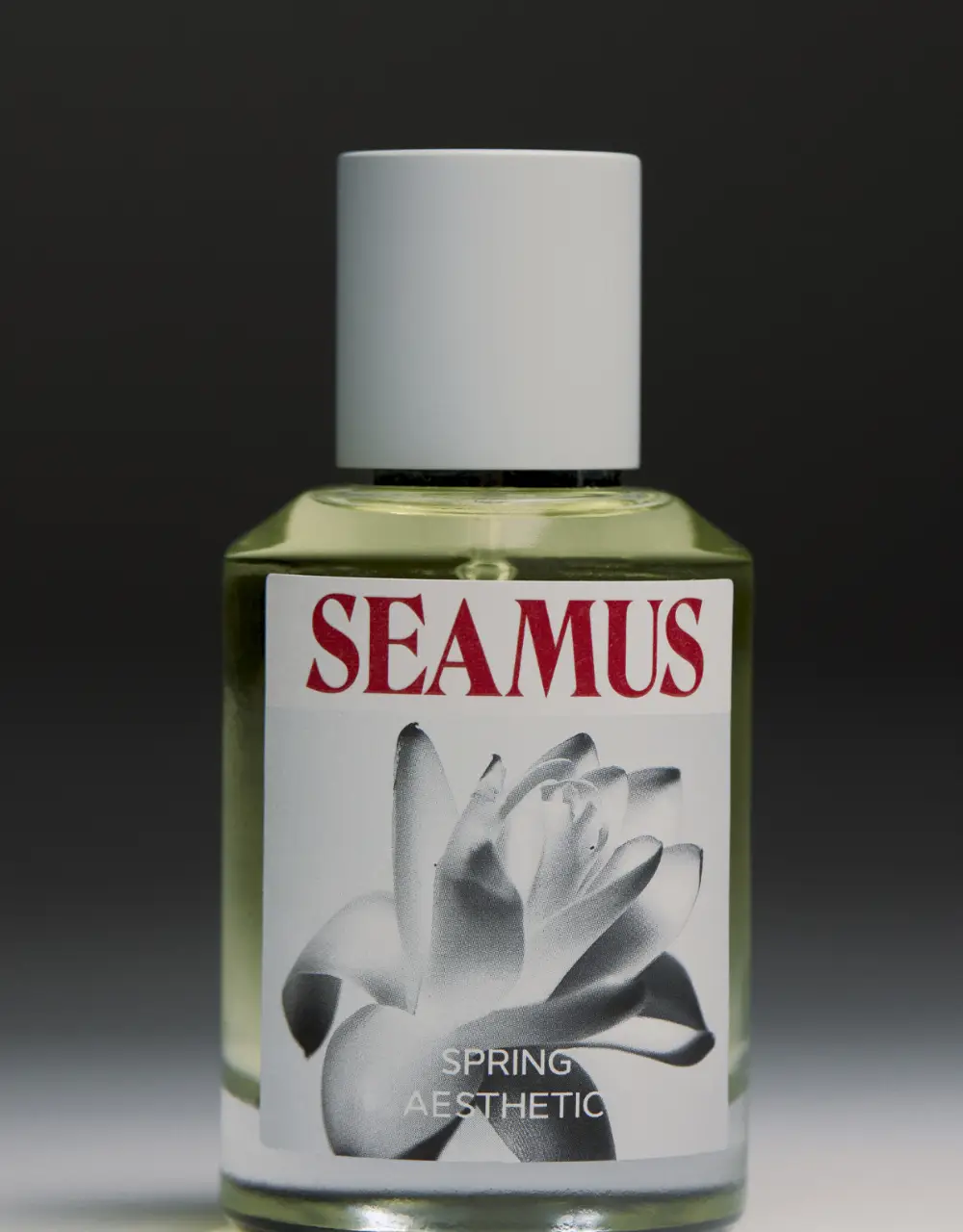 시머스 스프링 에스테틱 EDP 50ml 상세페이지 9
