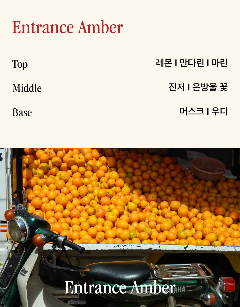 시머스 엔트런스 앰버 EDP 50ml 상세페이지 11