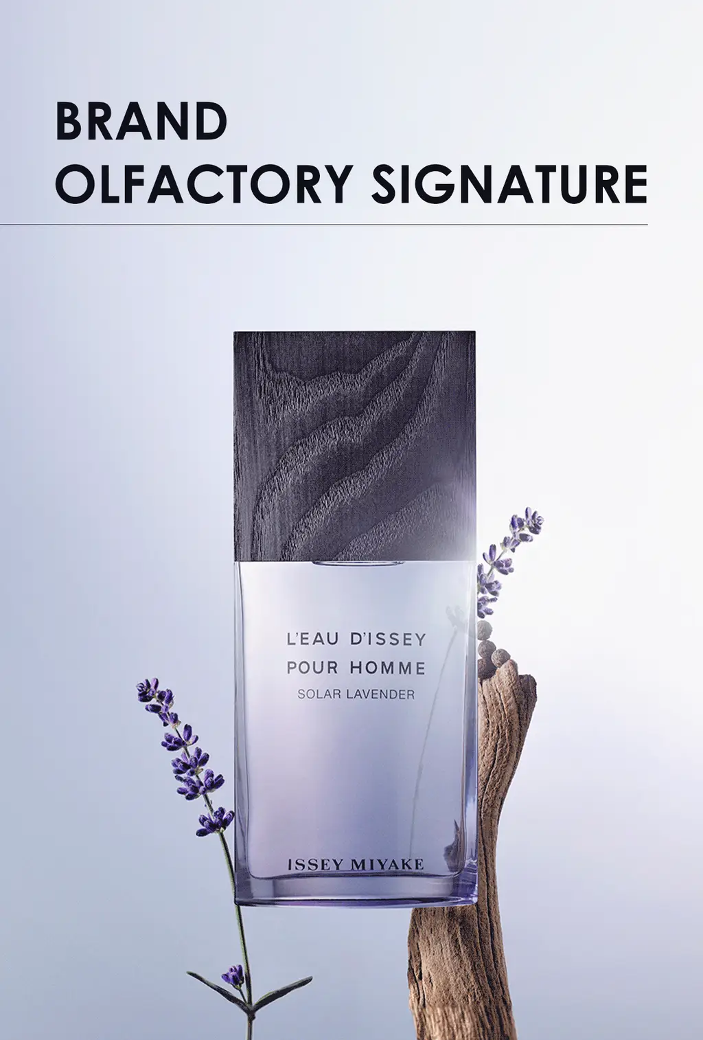 이세이미야케 로디세이 뿌르 옴므 솔라 라벤더 EDTI 100ml 상세페이지 9