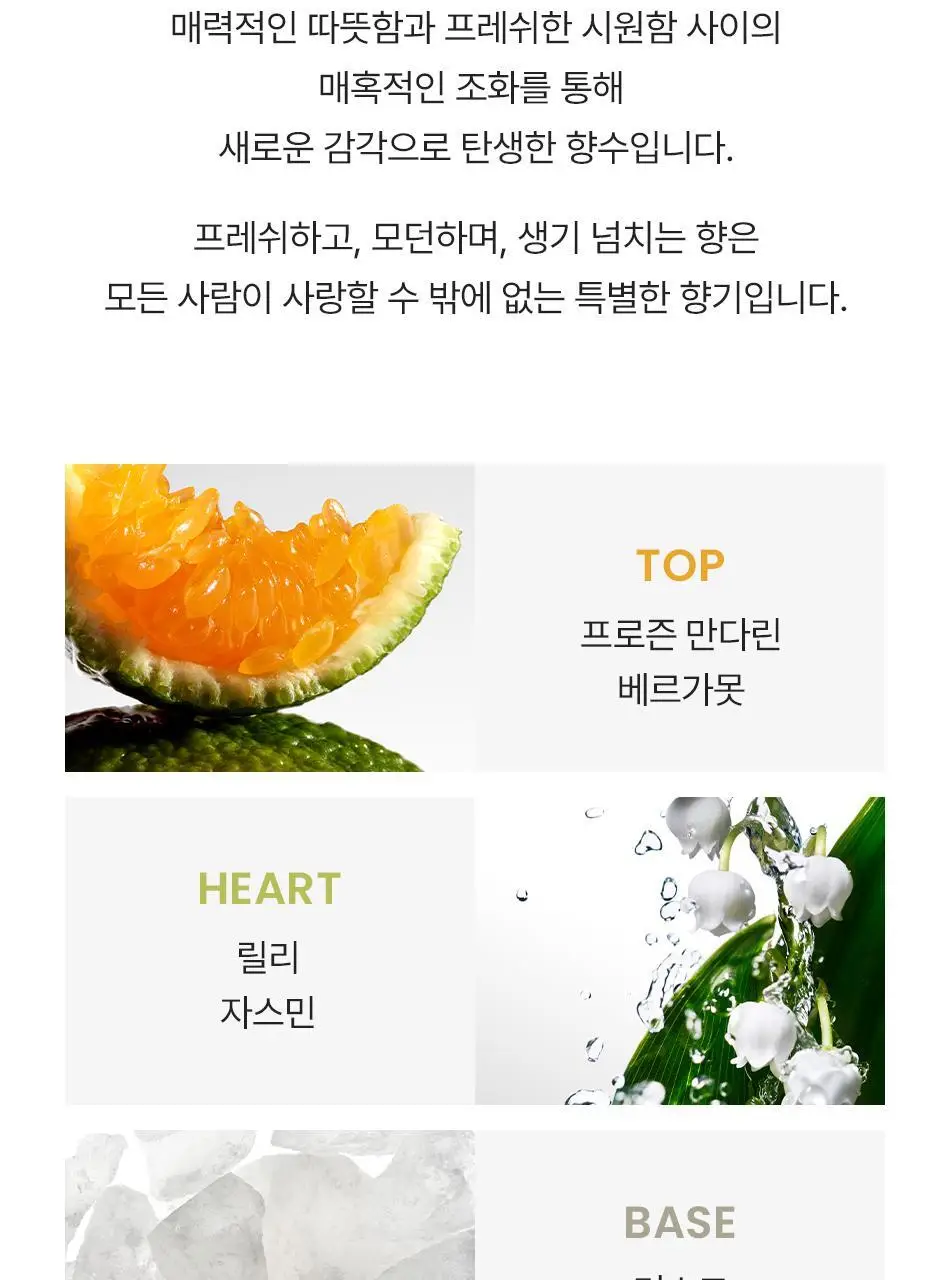 캘빈클라인 CK 올 EDT 100ml 상세페이지 5