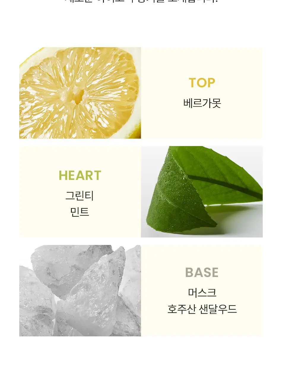 캘빈클라인 CK One 에센스 퍼퓸 인텐스 50ml/100ml/200ml 택1 상세페이지 5