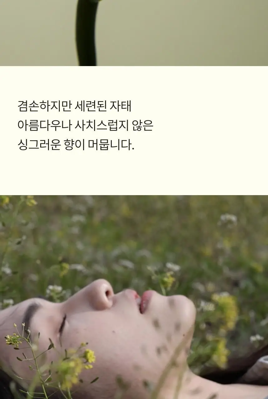 톤28 데튤립 오드 퍼퓸 100ml 상세페이지 6