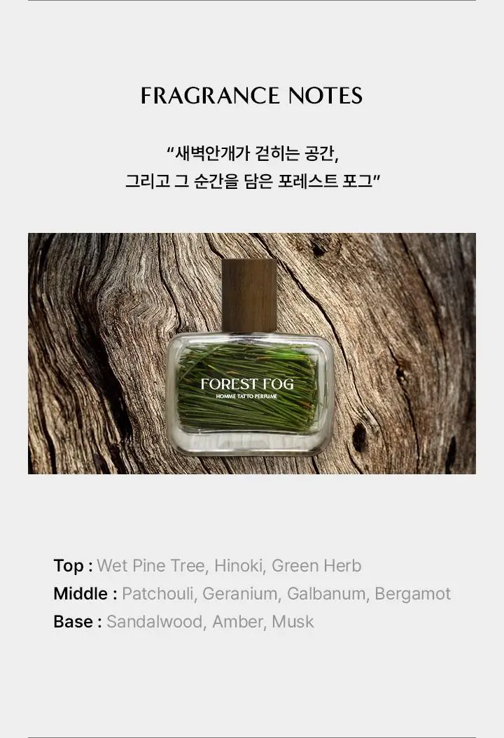 포엘리에 옴므 타투 퍼퓸 포레스트 포그 남자 향수 45ml 상세페이지 7