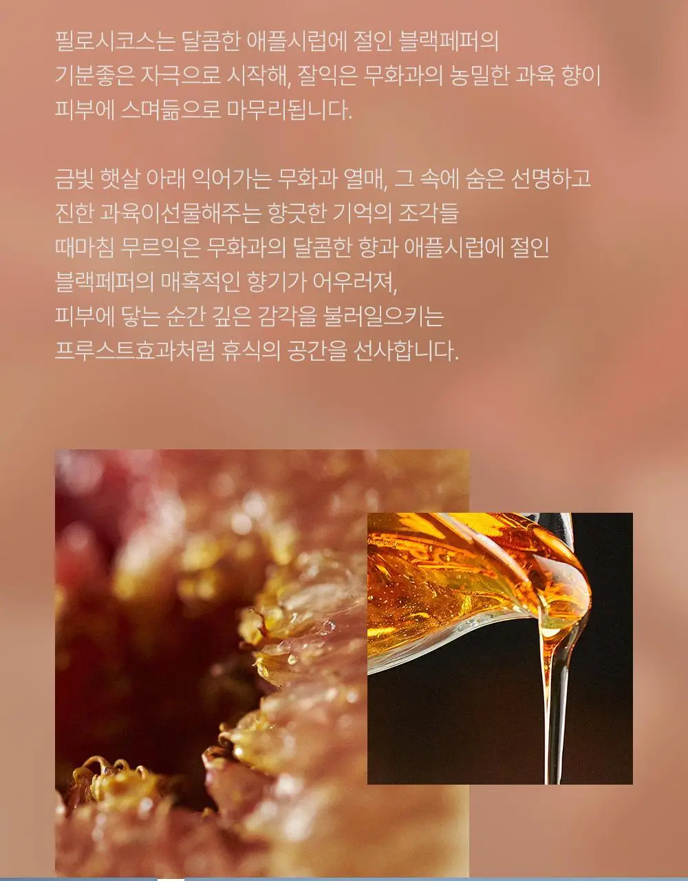 포엘리에 화이트 코튼/필로시코스 타투퍼퓸 향수 45ml 2종 택1 상세페이지 26