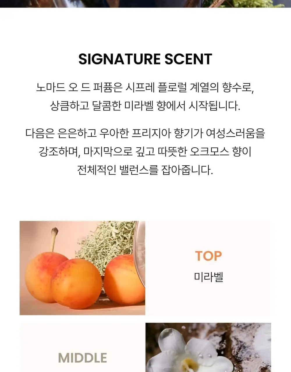 끌로에 노마드 EDP 30ml/50ml/50ml 기획 상세페이지 14