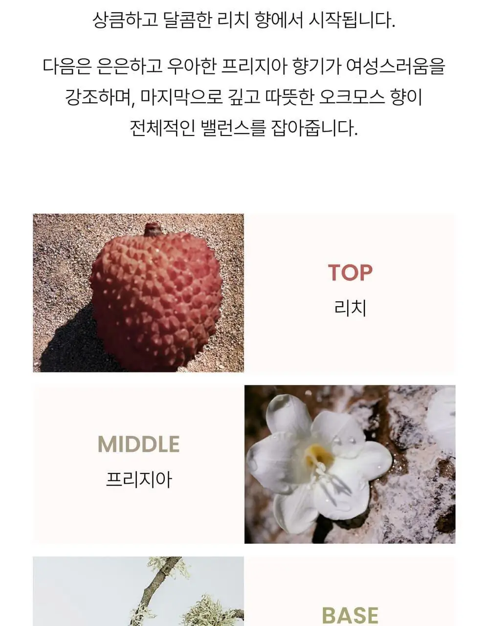 끌로에 노마드 EDT 30ml/50ml 상세페이지 5
