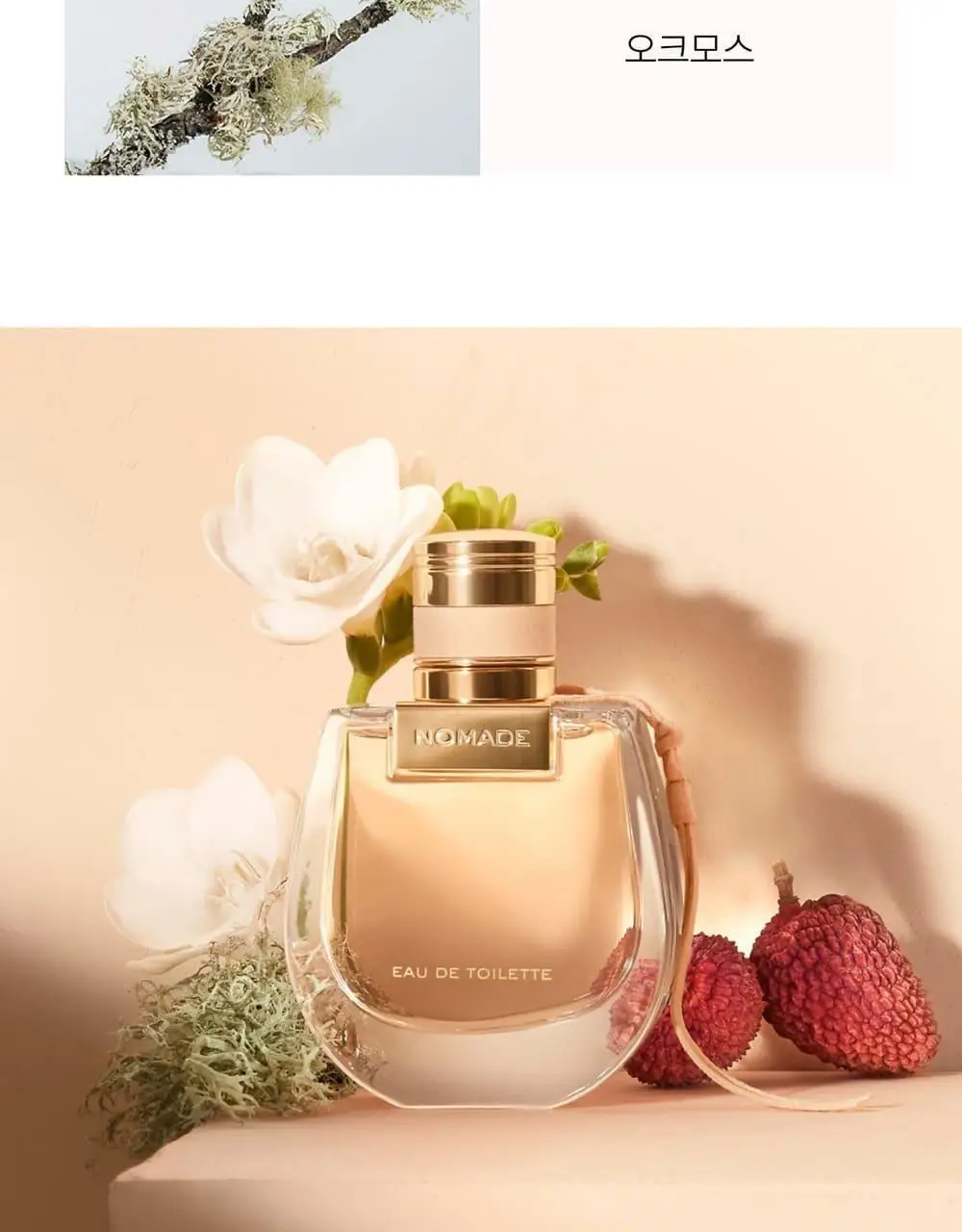 끌로에 노마드 EDT 30ml/50ml 상세페이지 6