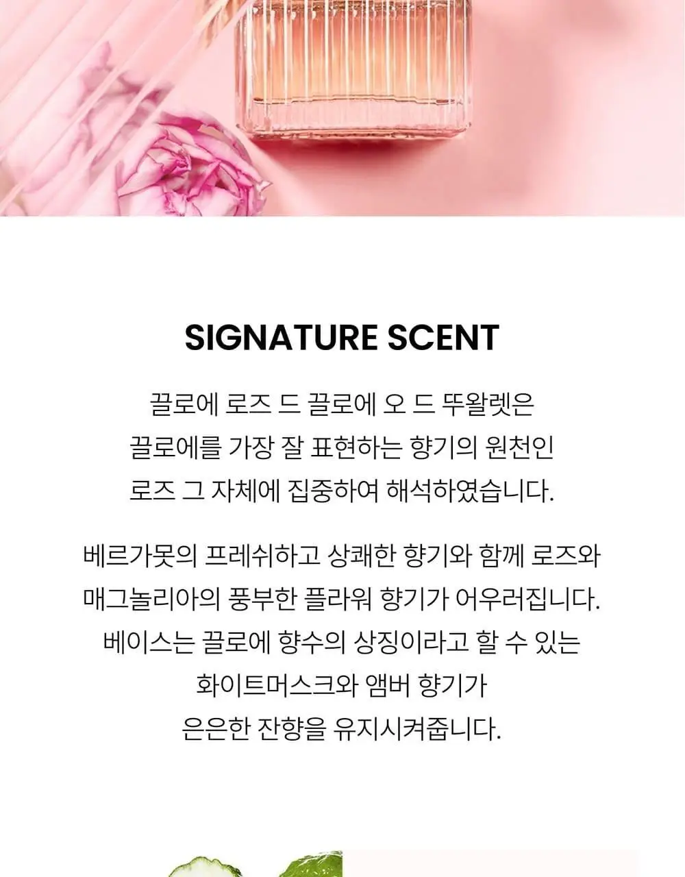 끌로에 로즈 드 끌로에 EDT 30ml/50ml 상세페이지 4