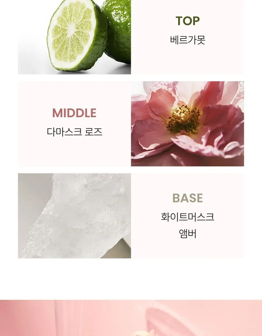 끌로에 로즈 드 끌로에 EDT 30ml/50ml 상세페이지 5
