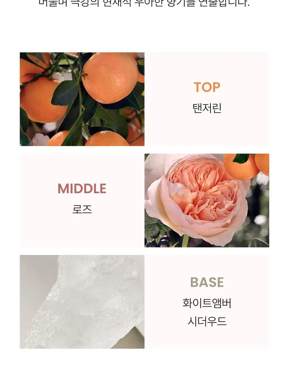 끌로에 로즈탠저린 EDT 30ml/50ml 상세페이지 5