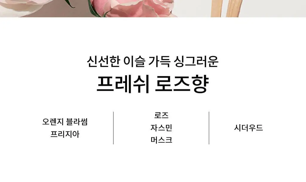 나르시소 로드리게즈 나르시소 베스트 (크리스탈/래디언트/엉브레/푸드레) 상세페이지 24