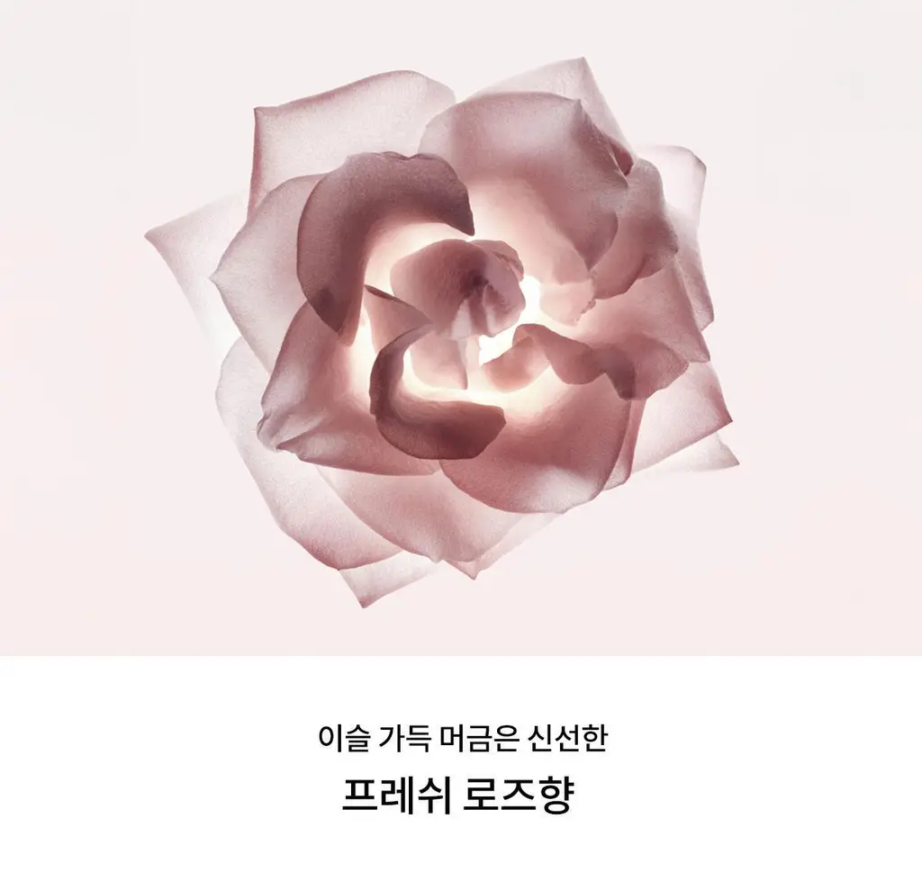 나르시소 로드리게즈 나르시소 베스트 (크리스탈/래디언트/엉브레/푸드레) 상세페이지 30
