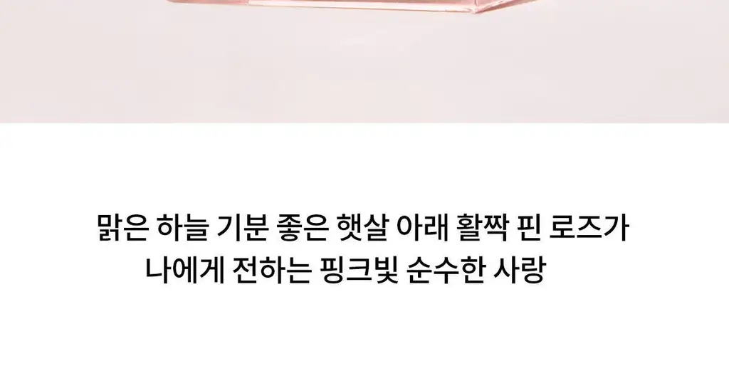 나르시소 로드리게즈 나르시소 베스트 (크리스탈/래디언트/엉브레/푸드레) 상세페이지 32