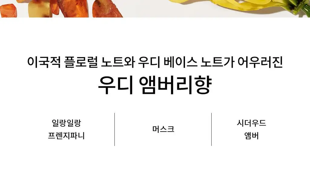 나르시소 로드리게즈 나르시소 베스트 (크리스탈/래디언트/엉브레/푸드레) 상세페이지 41