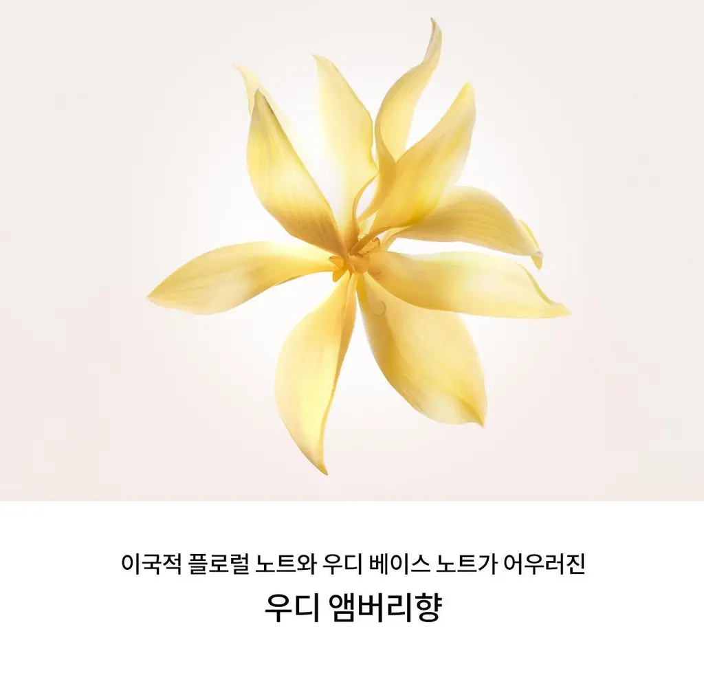 나르시소 로드리게즈 나르시소 베스트 (크리스탈/래디언트/엉브레/푸드레) 상세페이지 48
