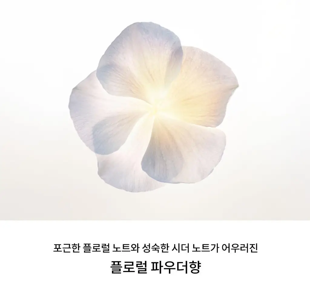 나르시소 로드리게즈 나르시소 베스트 (크리스탈/래디언트/엉브레/푸드레) 상세페이지 66