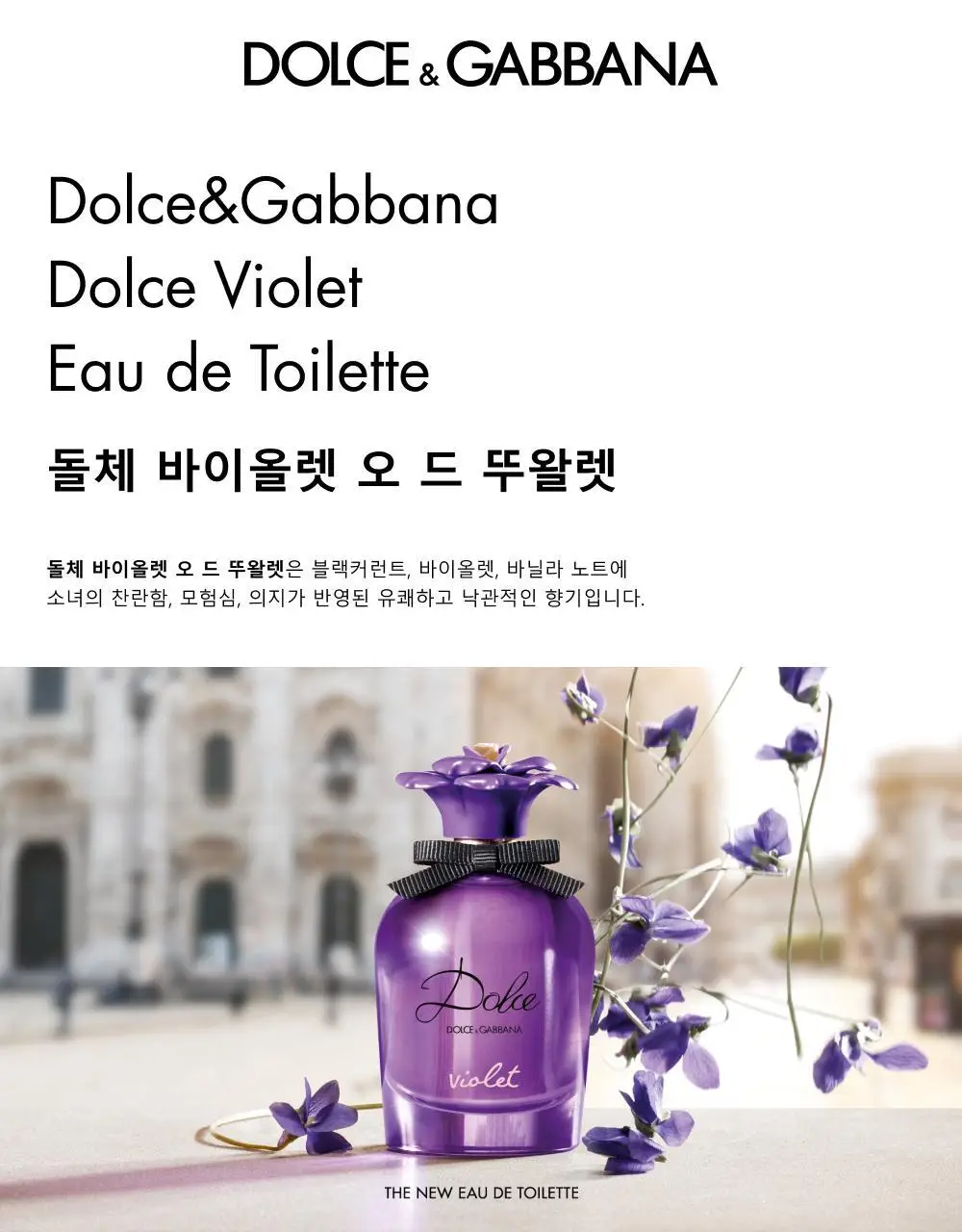 돌체앤가바나 돌체 바이올렛 EDT 50ml 상세페이지 2