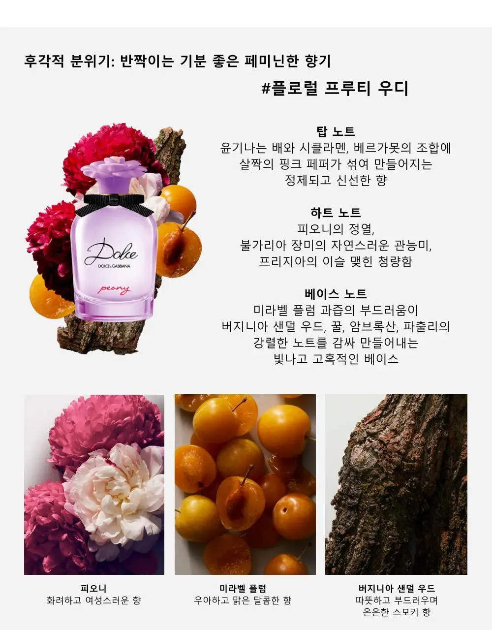 돌체앤가바나 돌체 피오니 EDP 50ml 상세페이지 3