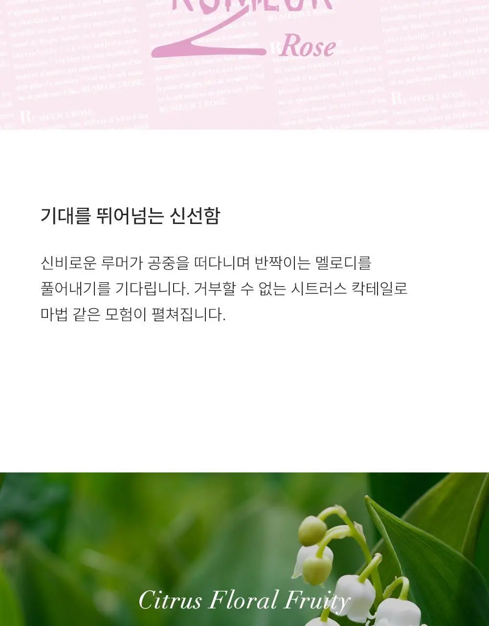 랑방 루머 2 로즈 30ml 상세페이지 3