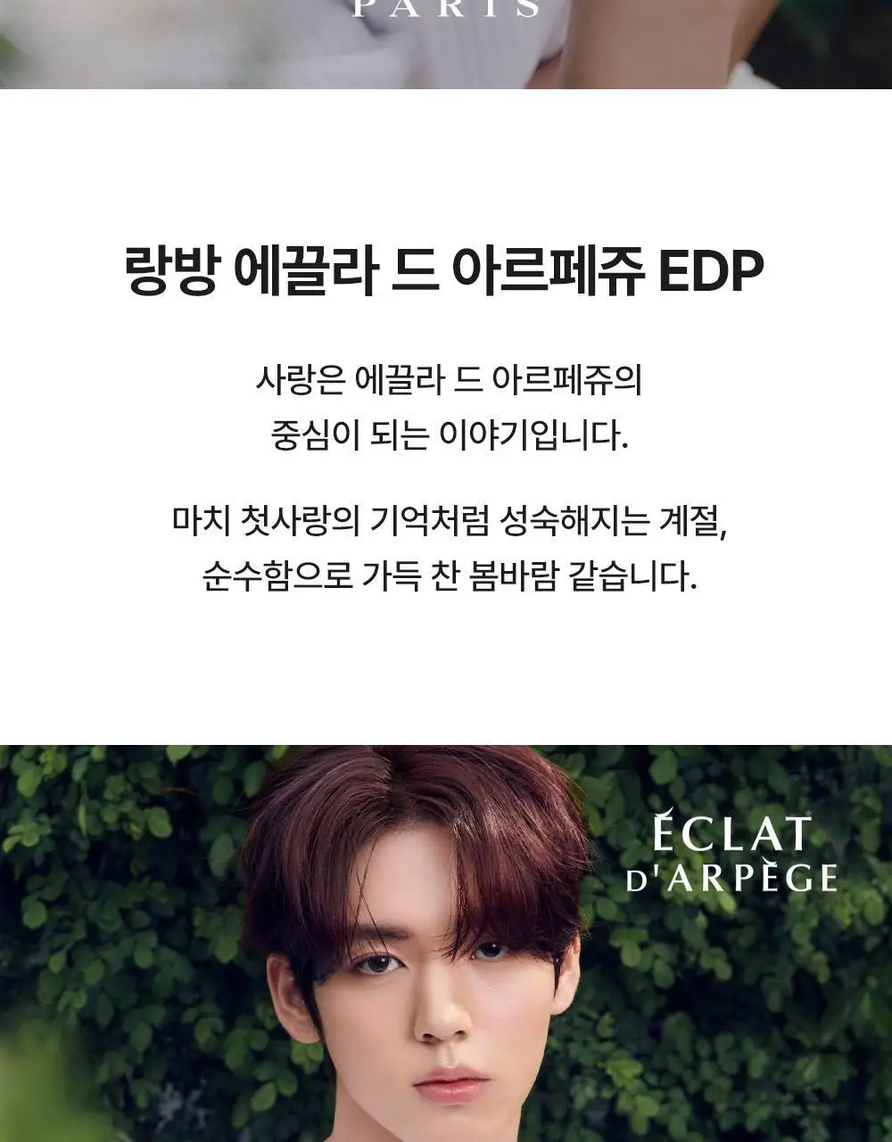 랑방 에끌라 드 아르페쥬 EDP 50ml 상세페이지 2