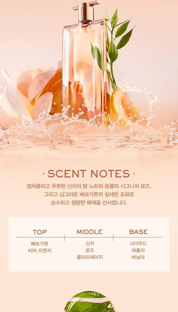 랑콤 이돌 오 드 뚜왈렛 25ml/50ml/100ml 상세페이지 6