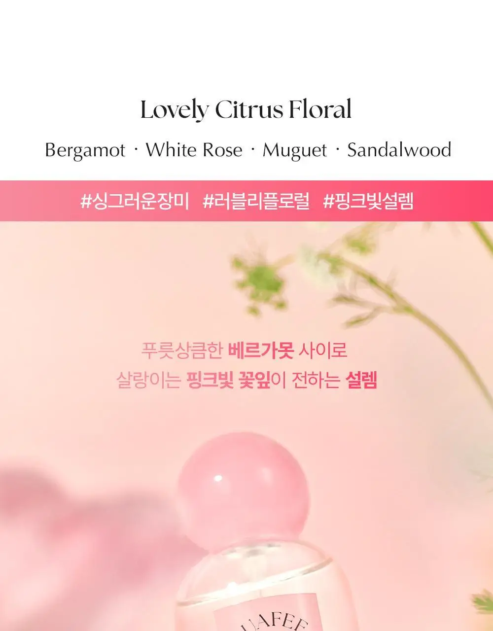 루아페 EDP 30ml 기획 (+미니어처 5ml&슈즈참) 2종 택 1 상세페이지 15