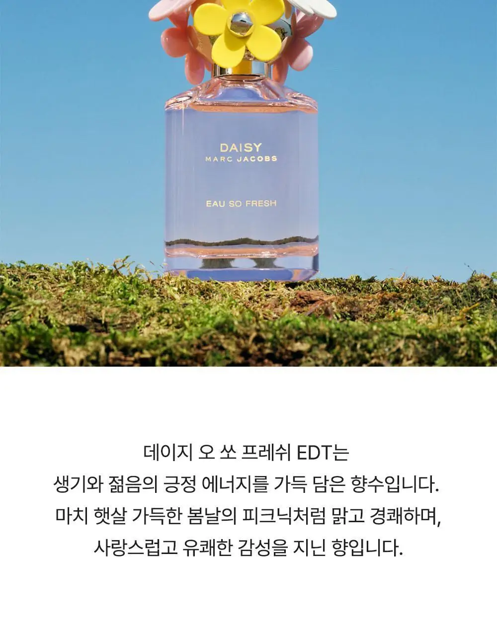 마크제이콥스 데이지 오 쏘 프레쉬 EDT 75ml 상세페이지 3