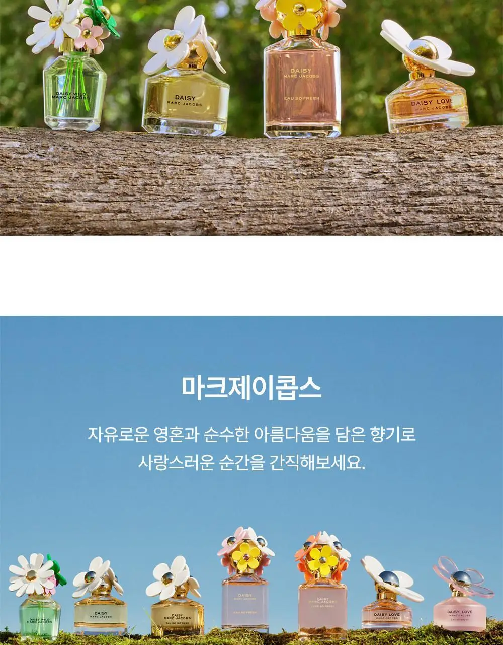마크제이콥스 데이지 오 쏘 프레쉬 EDT 75ml 상세페이지 9