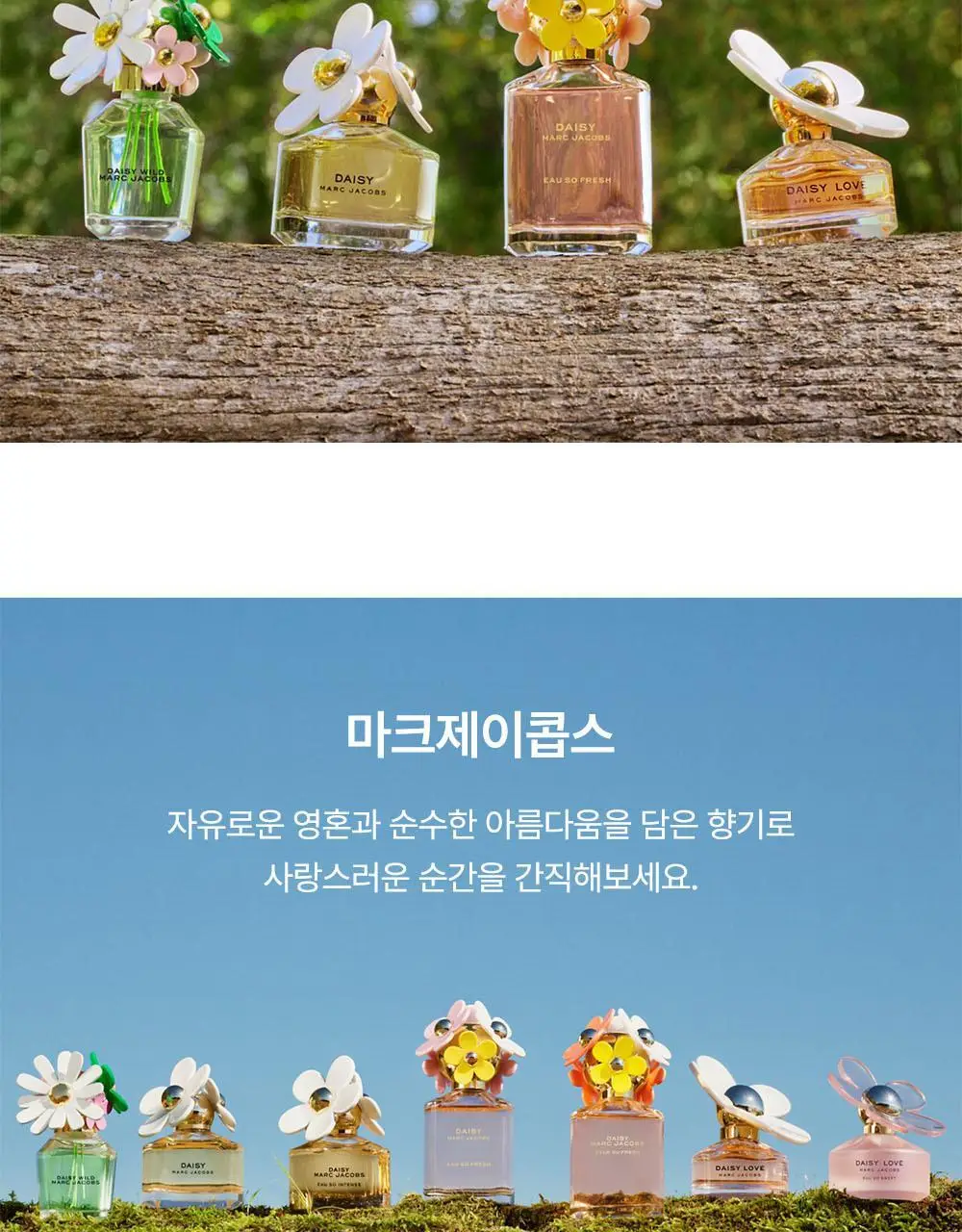 마크제이콥스 데이지 EDT 30ml 상세페이지 9