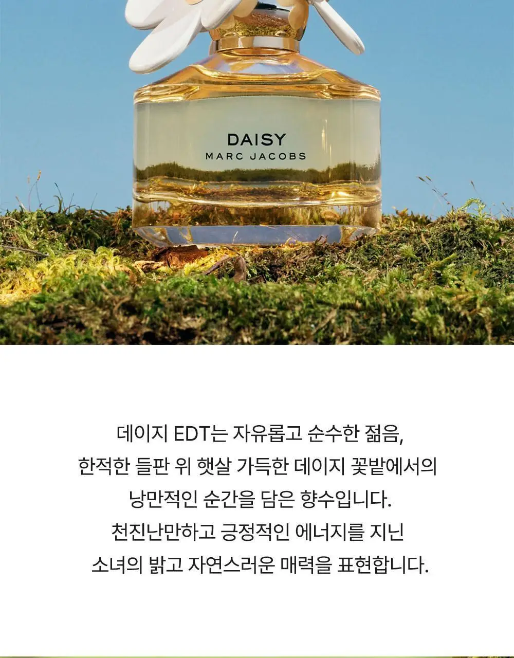 마크제이콥스 데이지 EDT 50ml 상세페이지 3